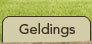 Gelding