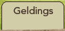 Gelding